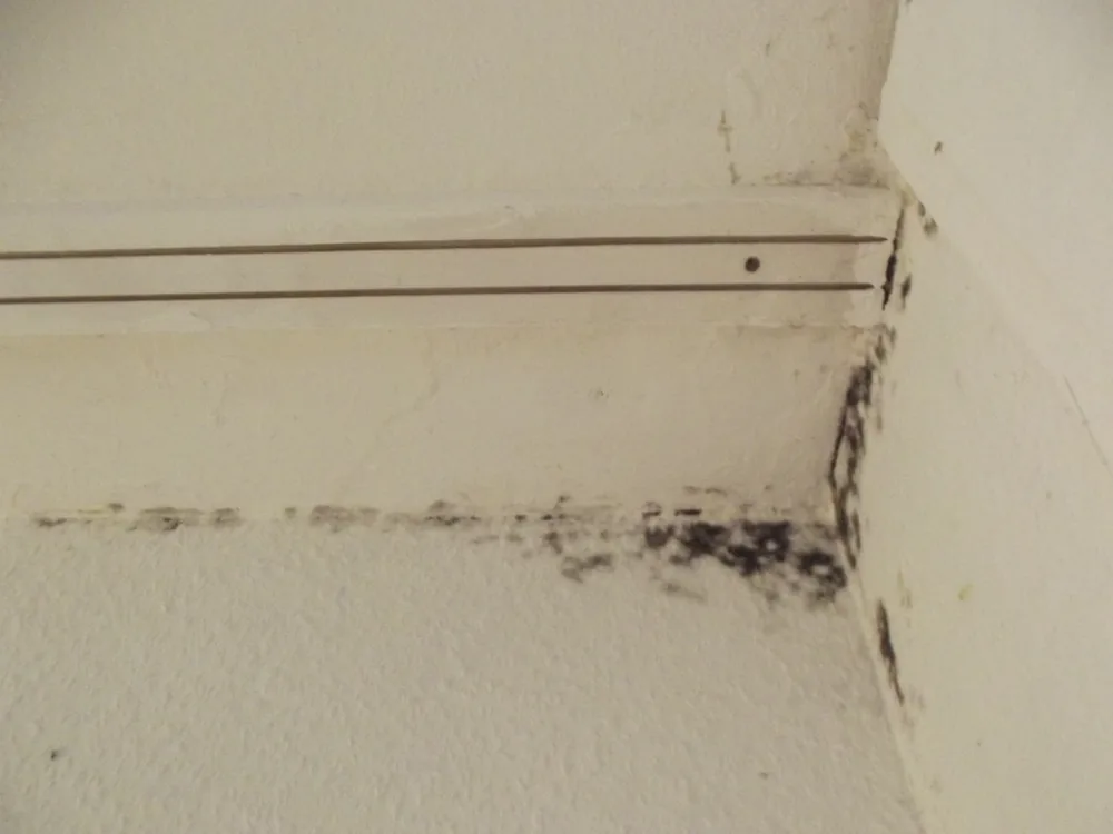 Technician in protective gear removing a mold-damaged wall in a Southold home